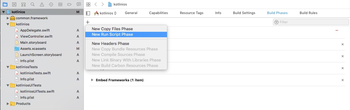Create Run Script Phase