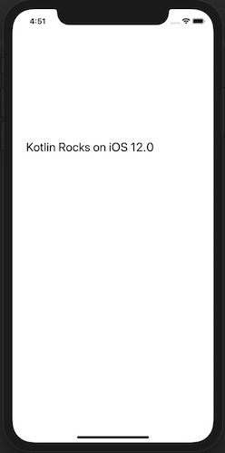 iOS App